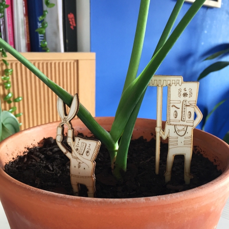 chamans des plantes en pot chakoup et suriman